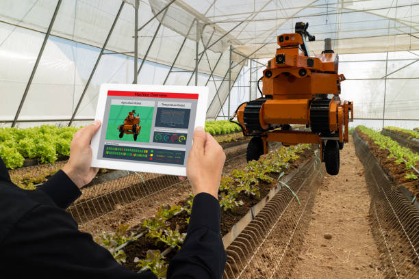 istock iot smart industry robot 4.0 agriculture concept,industrial agronomist,farmer using software Artificial intelligence technology in tablet to monitoring condition and control automatic robotics in farm 911693518