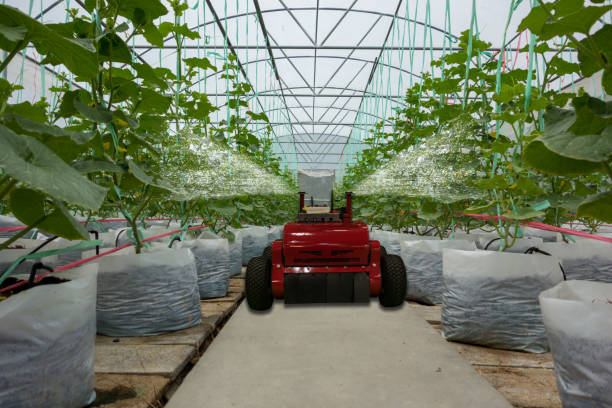 istock smart robotic in agriculture futuristic concept, robot farmers (automation) must be programmed to work to spray chemical,fertilizer or increase efficiency, growing a seed, harvesting, reduce time 911693880