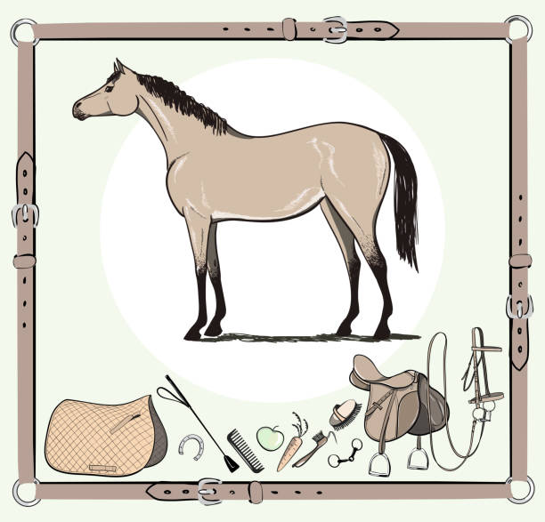 bildbanksillustrationer, clip art samt tecknat material och ikoner med häst och ridning tack verktyg i läder bälte ram. - horse skäck