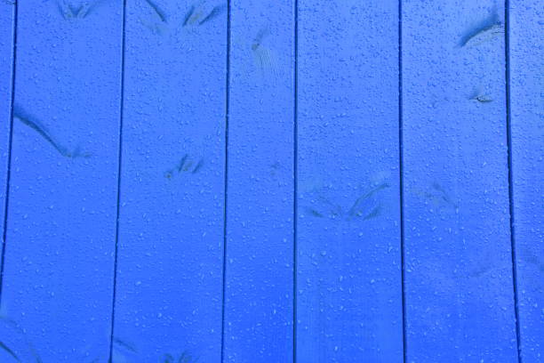istock Background of a wet wooden board 911699272