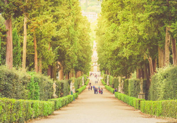 istock Boboli gardens in Florence 911699918
