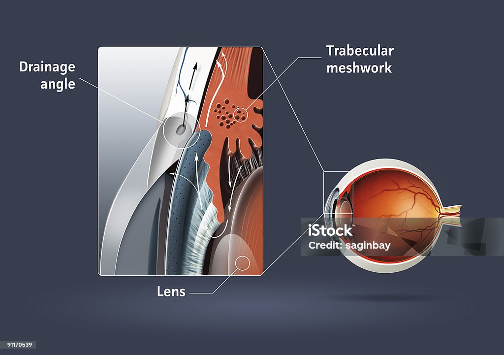 Glaucoma - Lizenzfrei Anatomie Stock-Foto