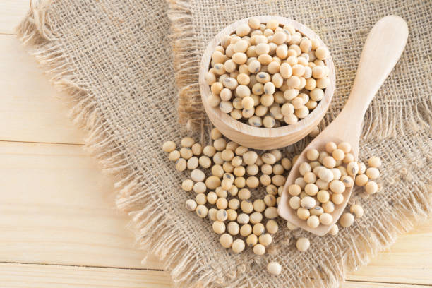 istock soybean in wood cup  on sack background 911708864