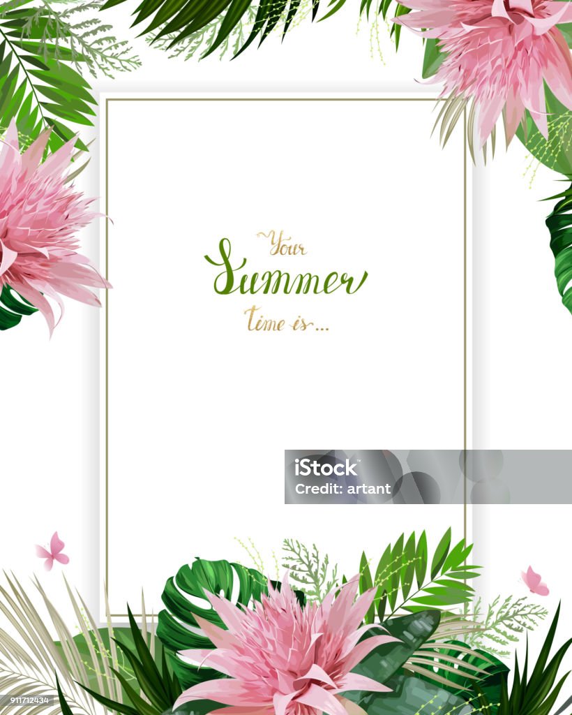 Universal invitation, congratulation card with green tropical palm, monstera leaves and Aechmea blooming flowers on the white background. Holiday banner with place for message on the summer poster. Universal invitation or congratulation card with green tropical palm, monstera leaves and Aechmea blooming flowers on the white background. Holiday banner with place for message on the summer poster. Flower stock vector