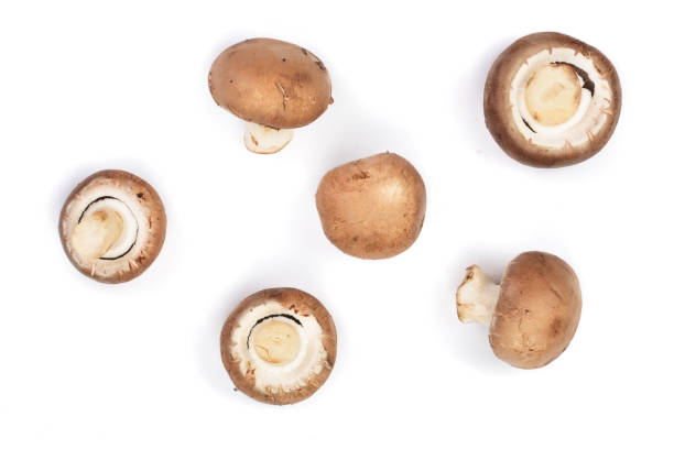 istock Fresh champignon mushrooms isolated on white background. Top view. Flat lay 911714682