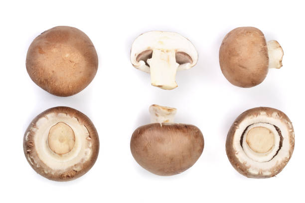 istock Fresh champignon mushrooms isolated on white background. Top view. Flat lay. Set or collection 911714820