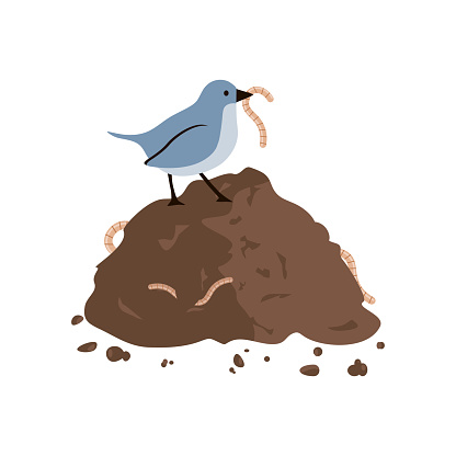 Bird eating a worm sitting on a pile of ground. Vector illustration flat design