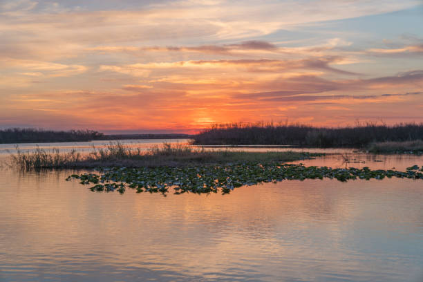 atardecer en campo de acebo en el st johns river - saint johns river fotografías e imágenes de stock