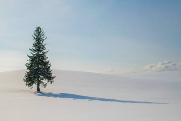 istock snow hill  at Biei ,Hokkaido 911723888