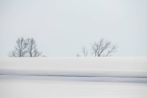 istock snow hill  at Biei ,Hokkaido 911723892