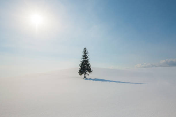 istock snow hill  at Biei ,Hokkaido 911723900
