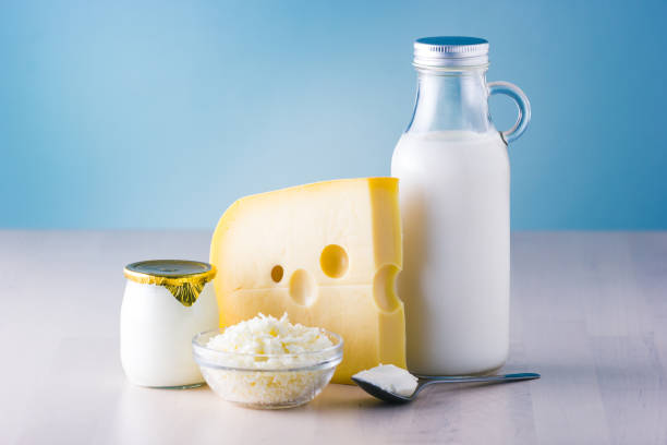 milchprodukte wie milch, käse, ei, joghurt und butter. - calcium fotos stock-fotos und bilder