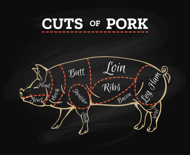 ilustrações, clipart, desenhos animados e ícones de esquema de quadro de carniceiro de porco - pig pork ham meat