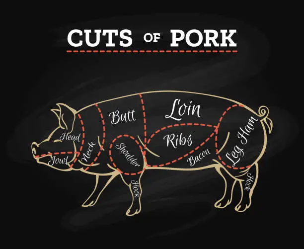 Vector illustration of Pig butcher chalkboard scheme
