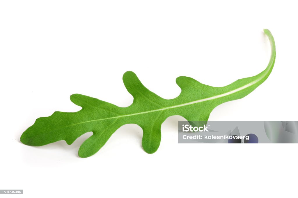 Grüne frische Rucola oder Rucola Blätter isoliert auf weißem Hintergrund Makro - Lizenzfrei Freisteller – Neutraler Hintergrund Stock-Foto