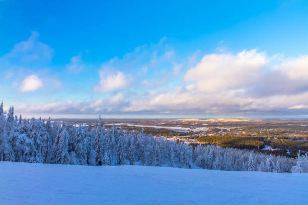 istock Winter landscape from Sotkamo, Finland. 911738994