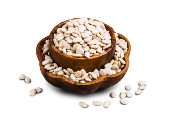 Photo of Large white dry beans