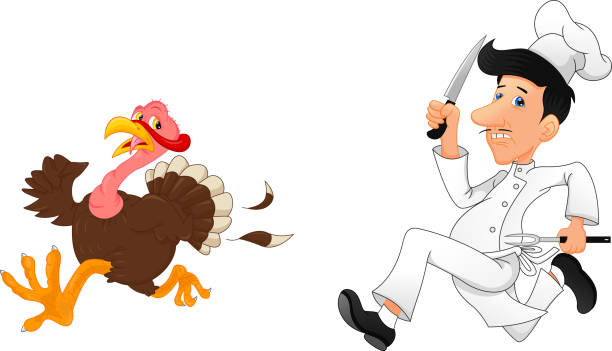 Cartoon chef chasing a turkey vector illustration of Cartoon chef chasing a turkey scared chicken cartoon stock illustrations
