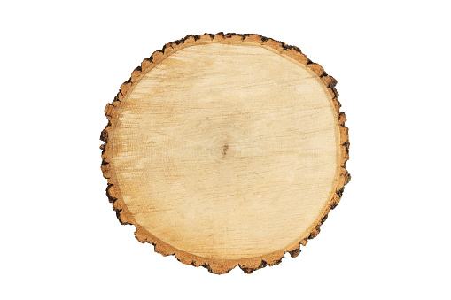 wooden round chopping board isolated on white background. Wooden stump isolated.