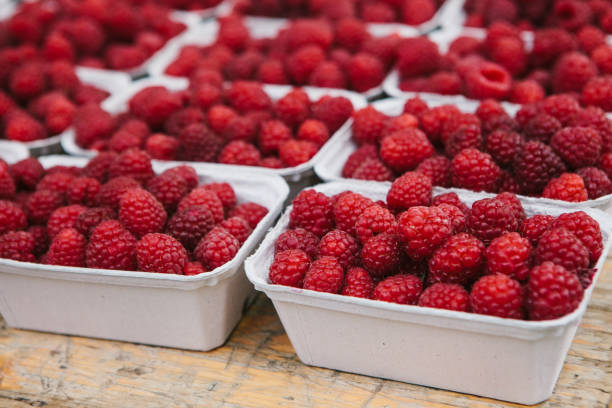 A lot of raspberries in containers on the table in a row. Useful food is rich in vitamins. Harvest. A lot of raspberries in containers on the table in a row. Useful food is rich in vitamins. Harvest. The farm market. farm produce storage stock pictures, royalty-free photos & images