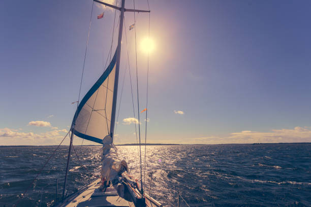 istock Yachting on sail boat during sunny weather 911747230