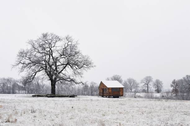 istock winter landscape of house and tree 911747256