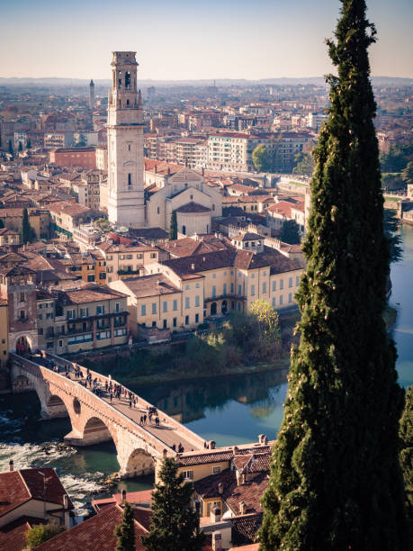 istock Verona Cathedral and stone bridge aerial view. 911750278