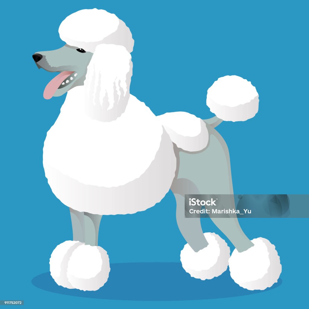 Ilustración de Perro De Dibujos Animados Blanco Standart Caniche y más  Vectores Libres de Derechos de Animal - Animal, Cuadrado - Composición,  Decoración - Objeto - iStock