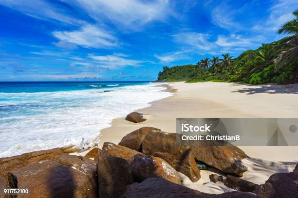 Beautiful Paradise Beachwhite Sandturquoise Waterpalms Seychelles 1 Stock Photo - Download Image Now