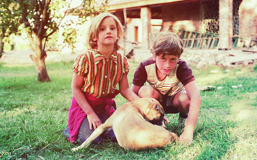 Vintage image from the seventies of a girl and boy playing with their dog ourdoors.