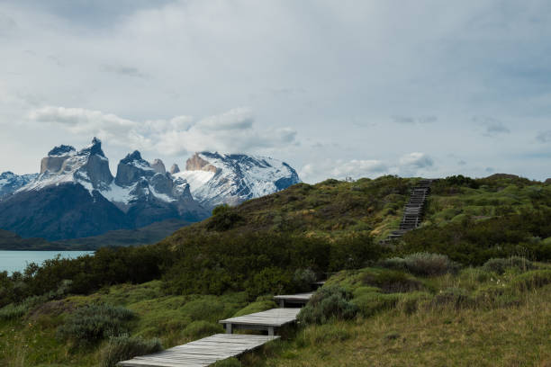 istock Torre del Paine National Park Chile 911755428