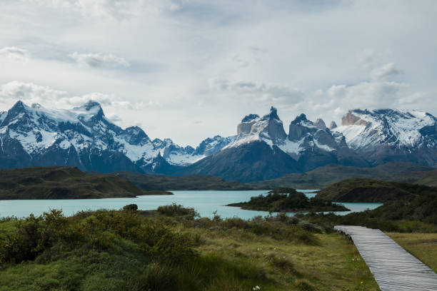 istock Torre del Paine National Park Chile 911755468