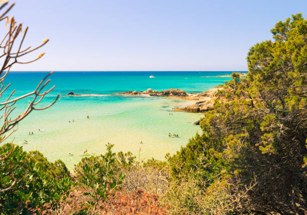 istock Panorama of Chia coast, Sardinia, Italy. 911755872