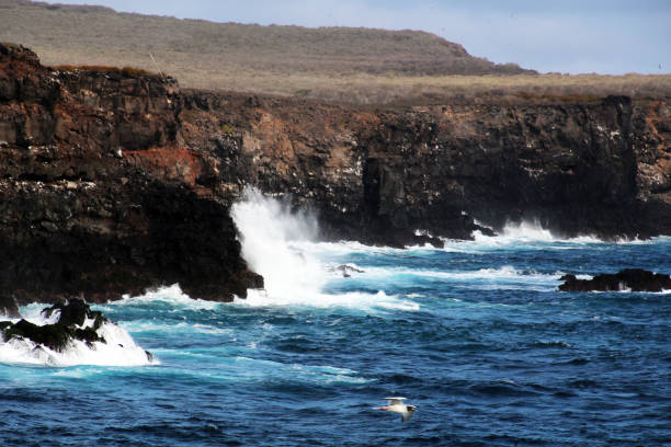 istock Coast of Espanola Island- Galapagos 911758294