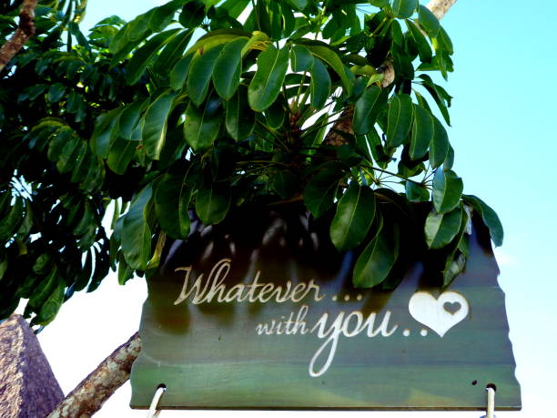 istock Whatever with you written on wood romatic love message with heart at tree 911758726