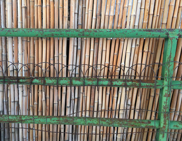 BAMBOO AND WIRE FENCE stock photo