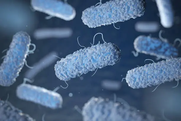 Photo of Enterobacterias. Gram-negative bacterias escherichia coli, salmonella, klebsiella, legionella, mycobacterium tuberculosis, yersinia pestis,  and shigella, proteus, enterobacter, serratia, and citrobacter.