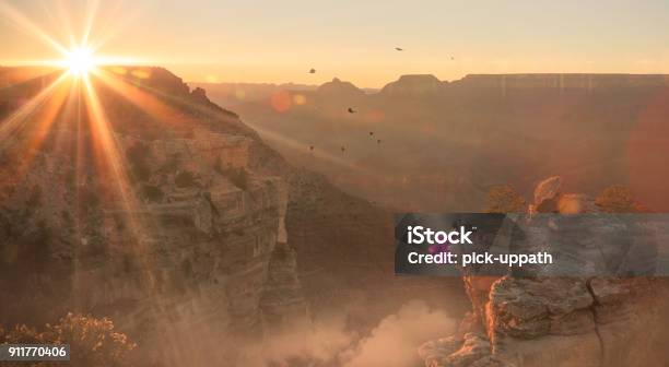 Women In Purple Dress Sitting At Edge Of Grand Canyon Stock Photo - Download Image Now