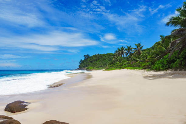 istock beautiful paradise beach,white sand,turquoise water,palms, seychelles 16 911776848