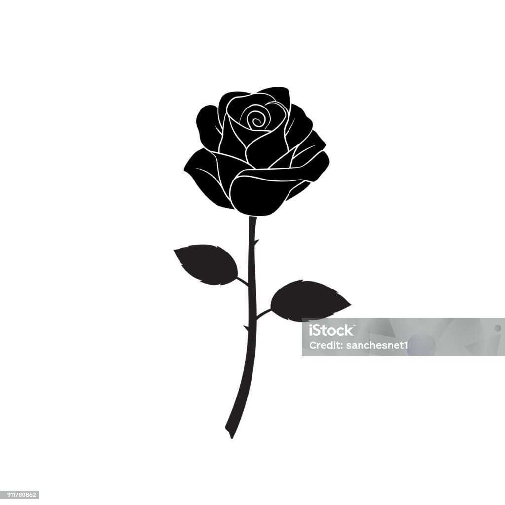 Rose flower Silhouette of flower roses on white background. Isolated Vector Illustration. Rose - Flower stock vector