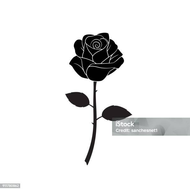 Rose Flower Stock Illustration - Download Image Now - Rose - Flower, Black Color, Illustration