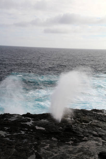 istock The Blowhole on Espanola in Galapagos 911785194