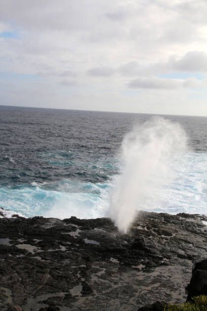 istock The Blowhole on Espanola in Galapagos 911785308