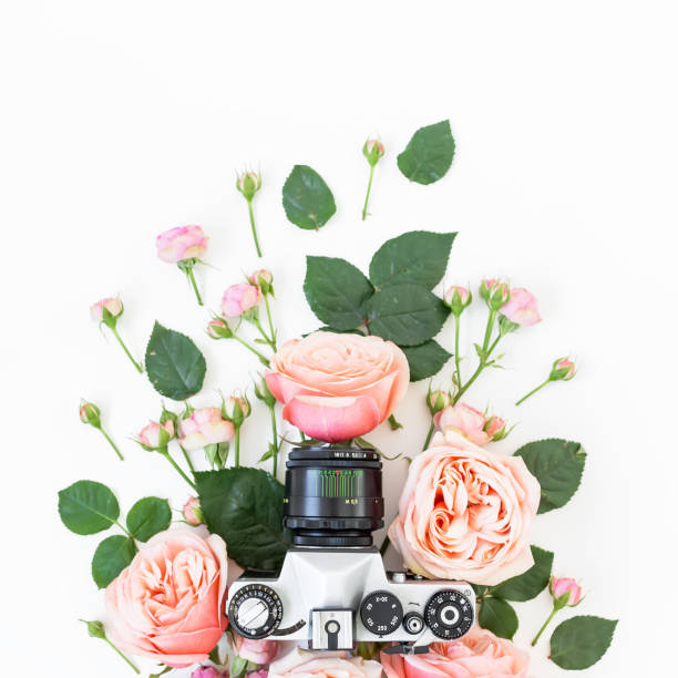 istock Old Camera and pink roses. Flat lay, Top view 911787840