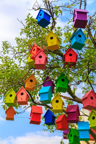 Many bright colored birdhouses on a mandarin tree