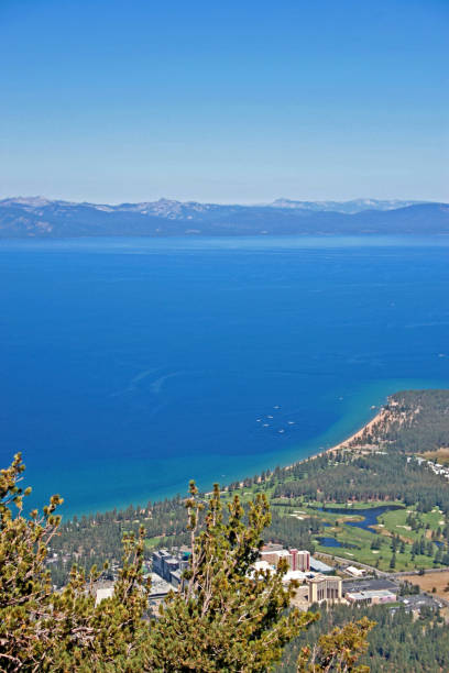 istock Big blue lake heavenly view pine tree california 911794510