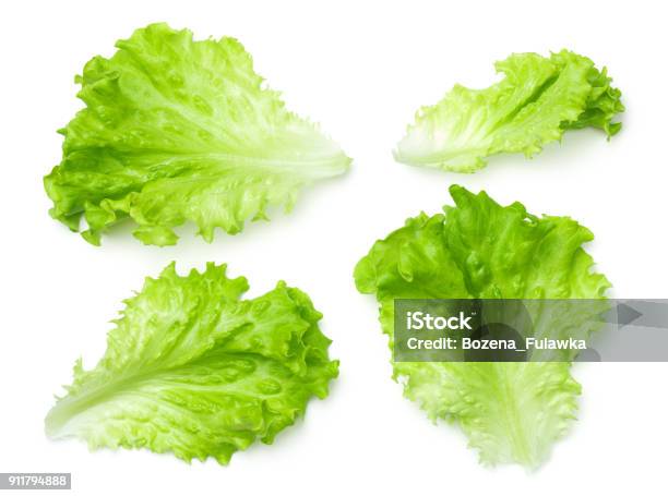 Lettuce Salad Leaves Isolated On White Background Stock Photo - Download Image Now - Lettuce, Salad, Cut Out