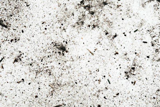istock Household dust on a white floor 911802540