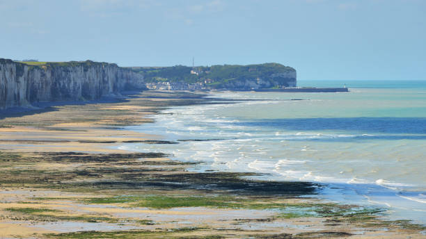 istock White cliffs and a beach during low tide in Veules les Roses, France 911802728