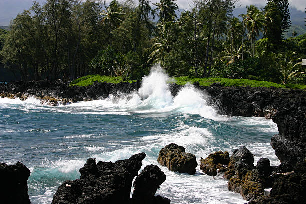 Waves on the Lush Coast of Maui stock photo